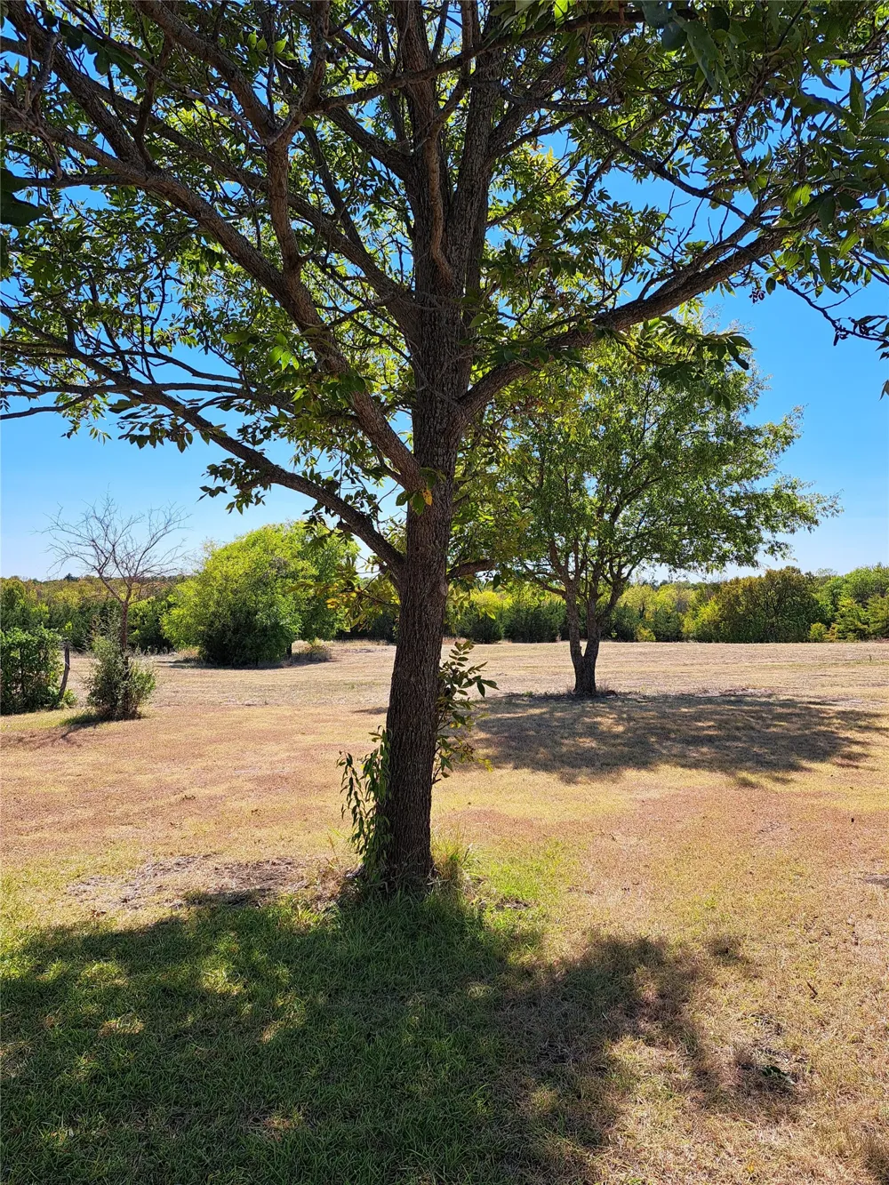 FM 982 Princeton, TX 75407