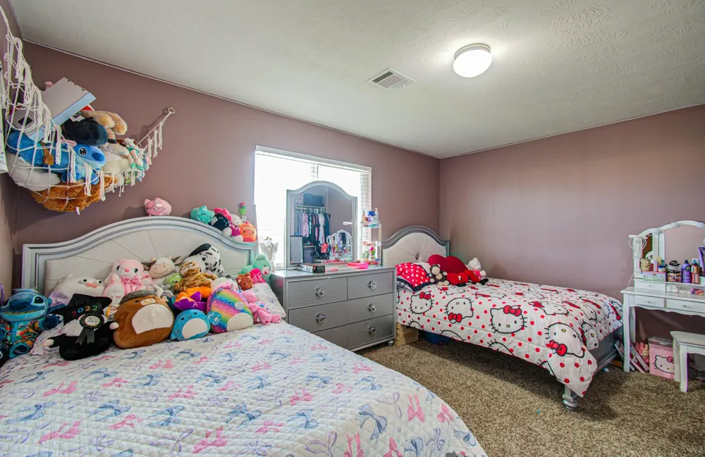 19907 Drake Shadows Lane Katy, TX 77449