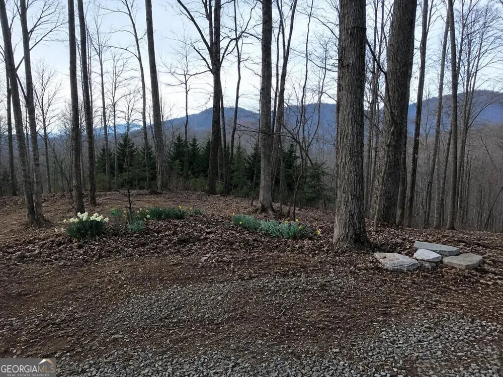 681 Skyview DR Ellijay, GA 30536