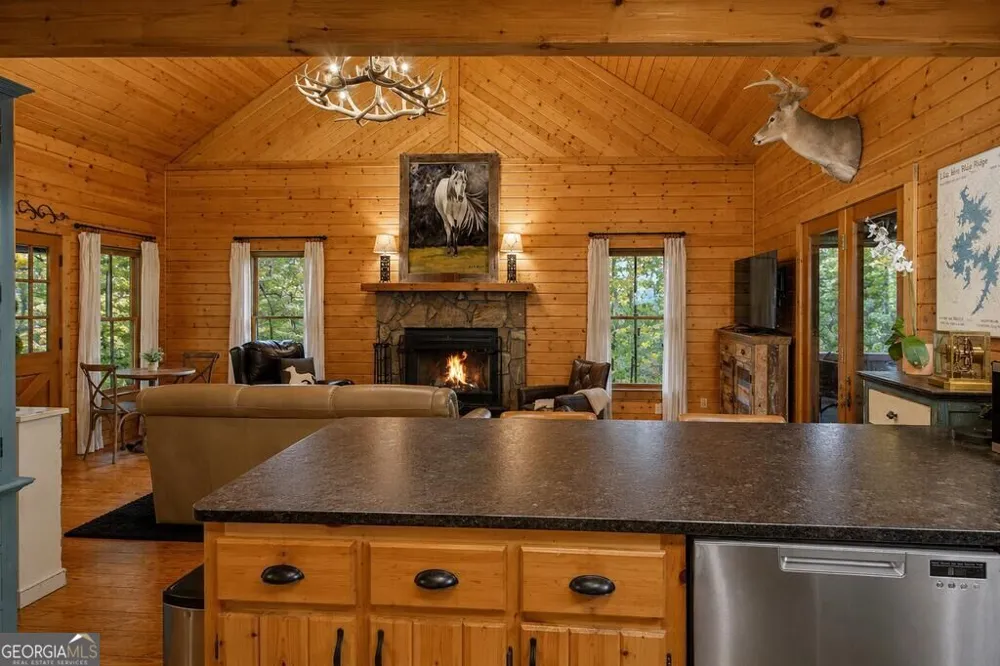 681 Skyview DR Ellijay, GA 30536