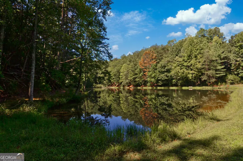 681 Skyview DR Ellijay, GA 30536