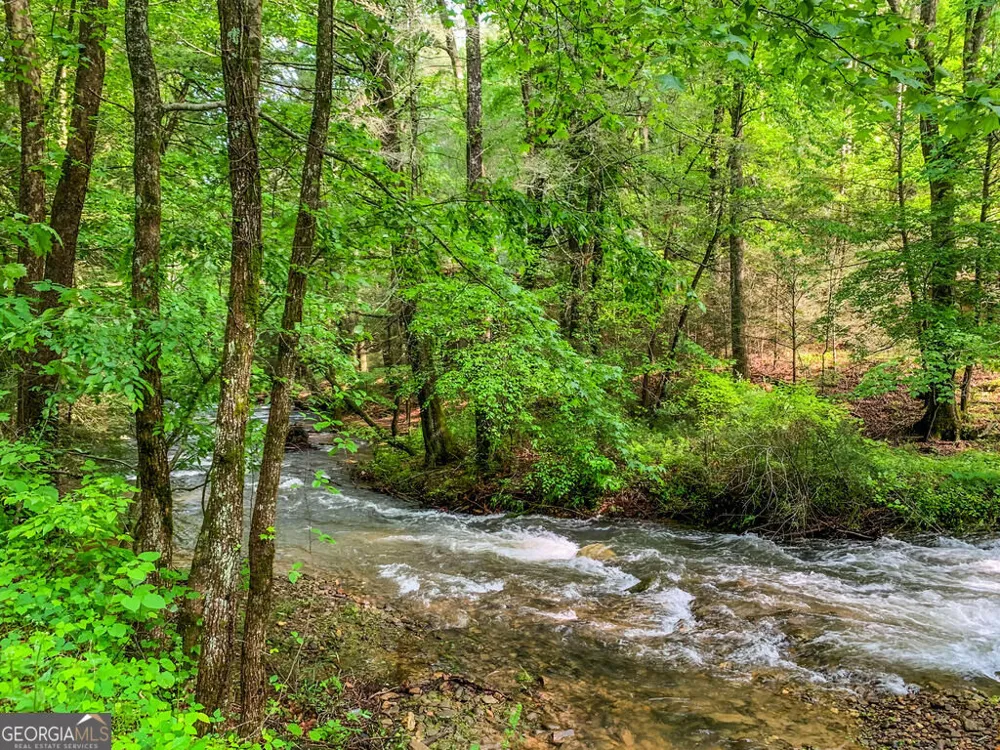 681 Skyview DR Ellijay, GA 30536