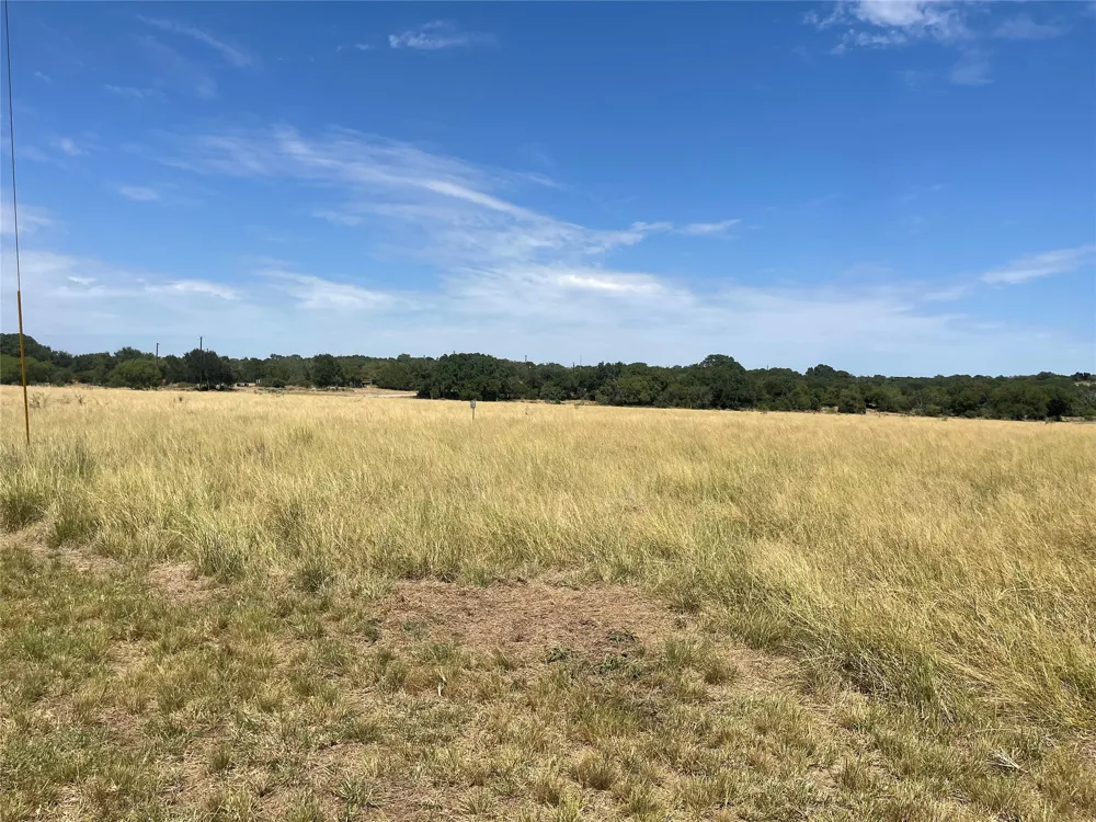35 Cattle Trail Trail Kempner, TX 76539