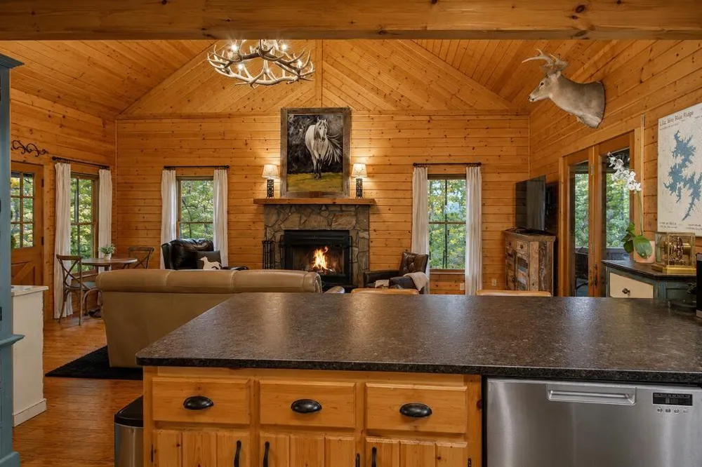 681 Skyview Drive Ellijay, GA 30536
