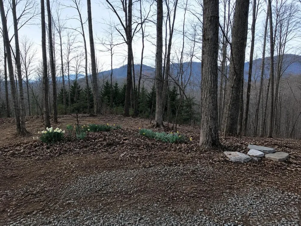 681 Skyview Drive Ellijay, GA 30536