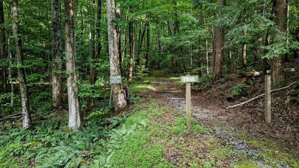 681 Skyview Drive Ellijay, GA 30536