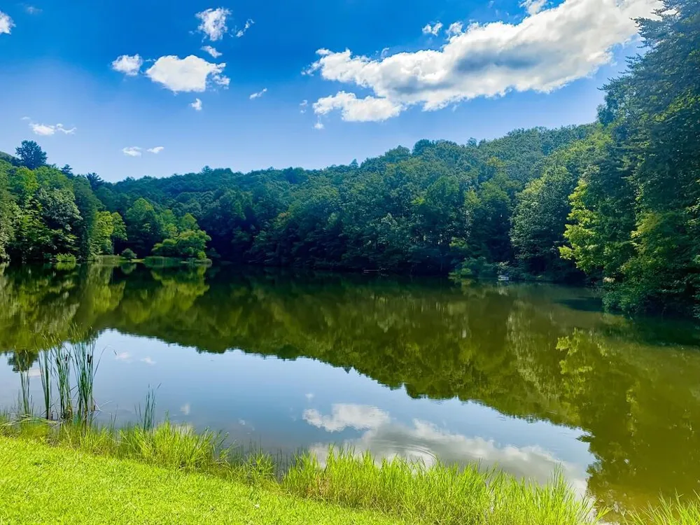 681 Skyview Drive Ellijay, GA 30536