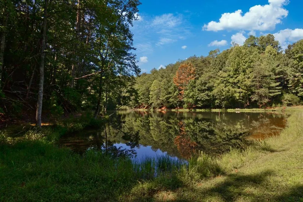 681 Skyview Drive Ellijay, GA 30536