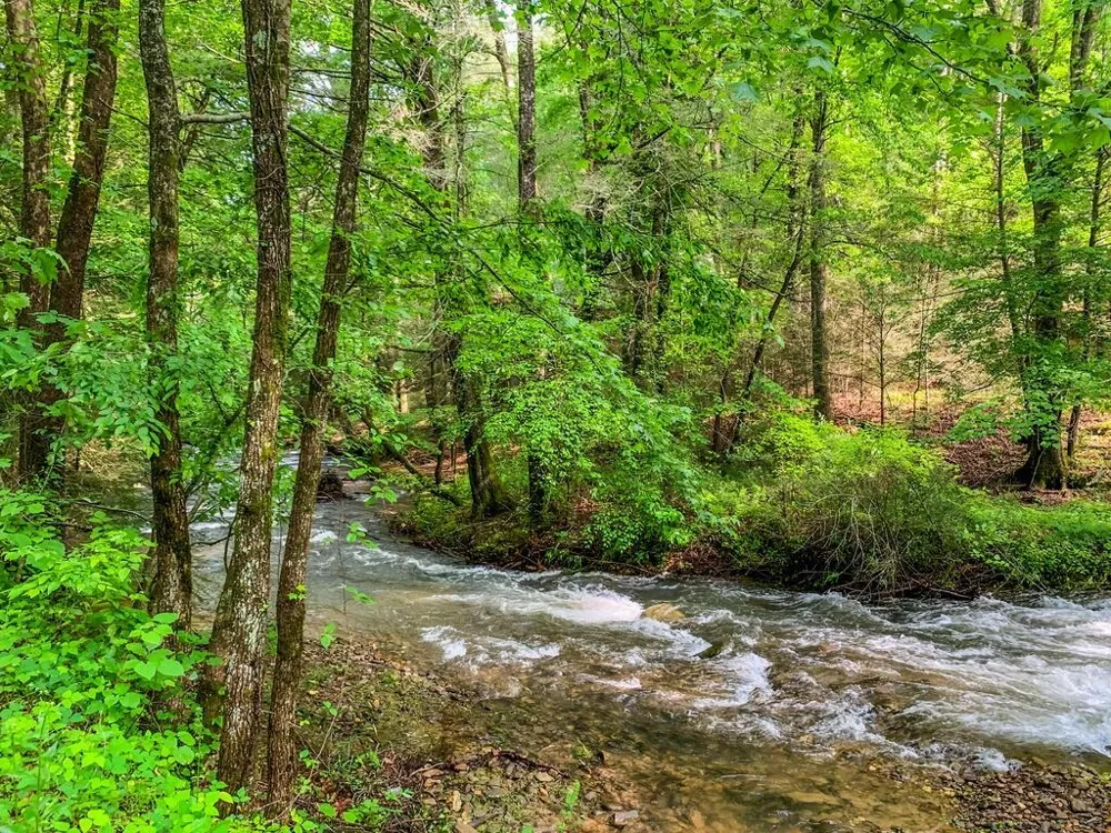 681 Skyview Drive Ellijay, GA 30536
