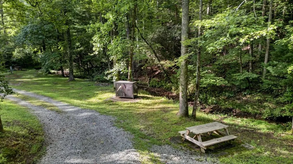 681 Skyview Drive Ellijay, GA 30536