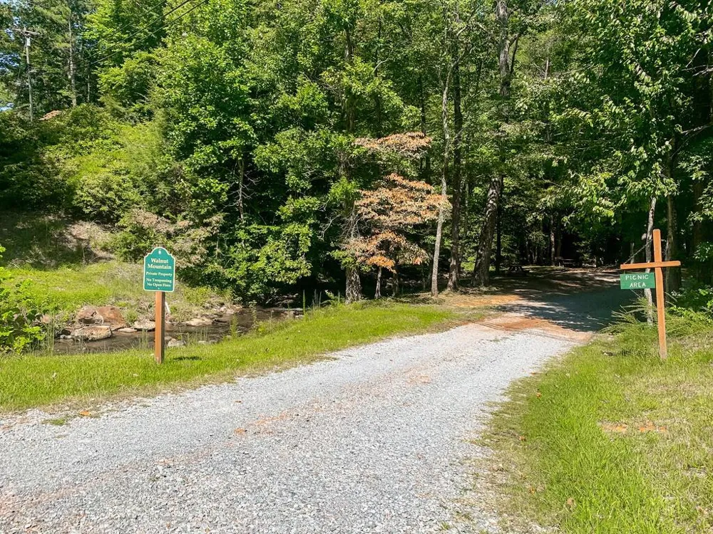 681 Skyview Drive Ellijay, GA 30536