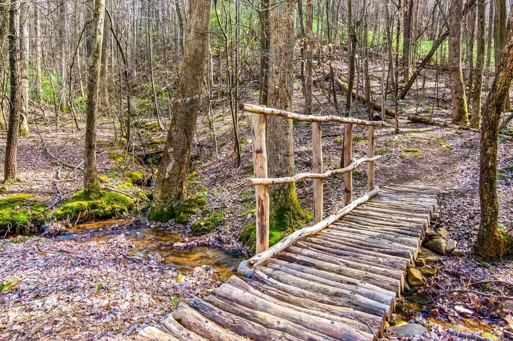 681 Skyview Drive Ellijay, GA 30536