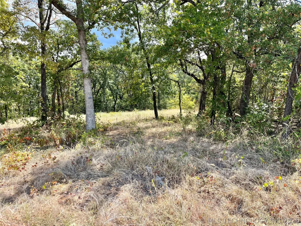 Texoma Park Road Kingston, OK 73439