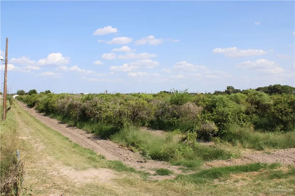 8221` North Ware Road McAllen, TX 78504