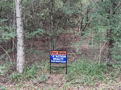 Mockingbird Hills