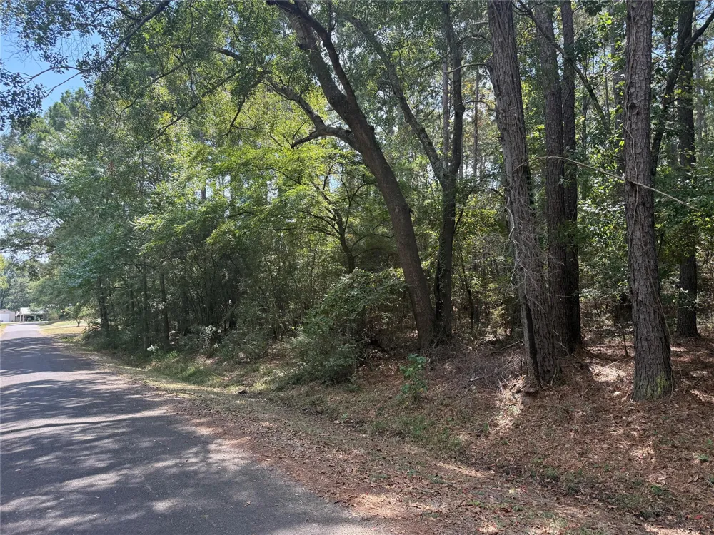 Mockingbird Hills Livingston, TX 77351
