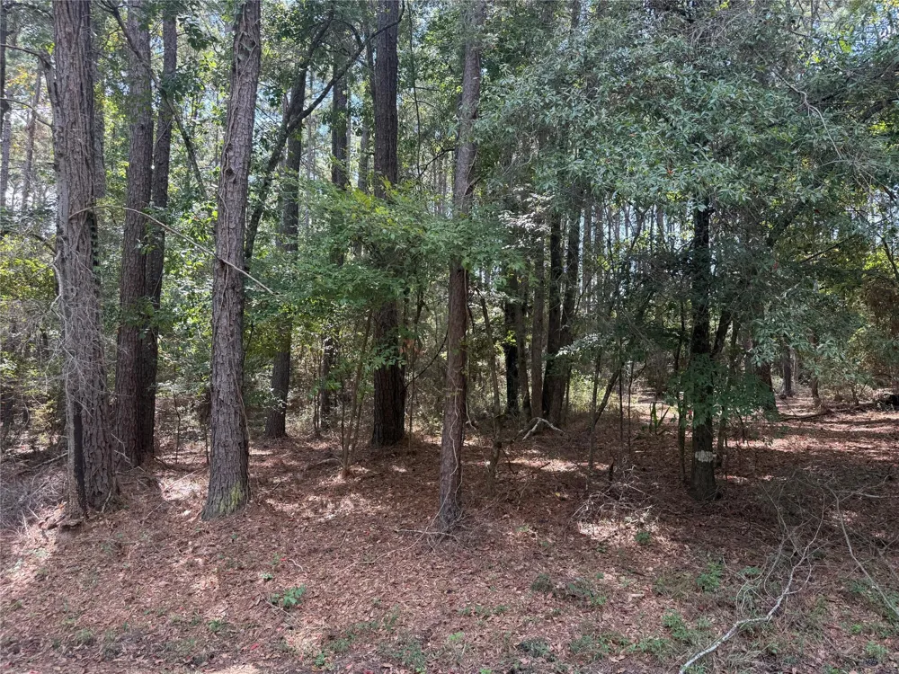 Mockingbird Hills Livingston, TX 77351