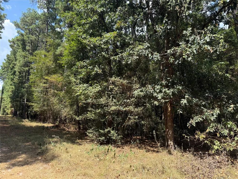 Mockingbird Hills Livingston, TX 77351