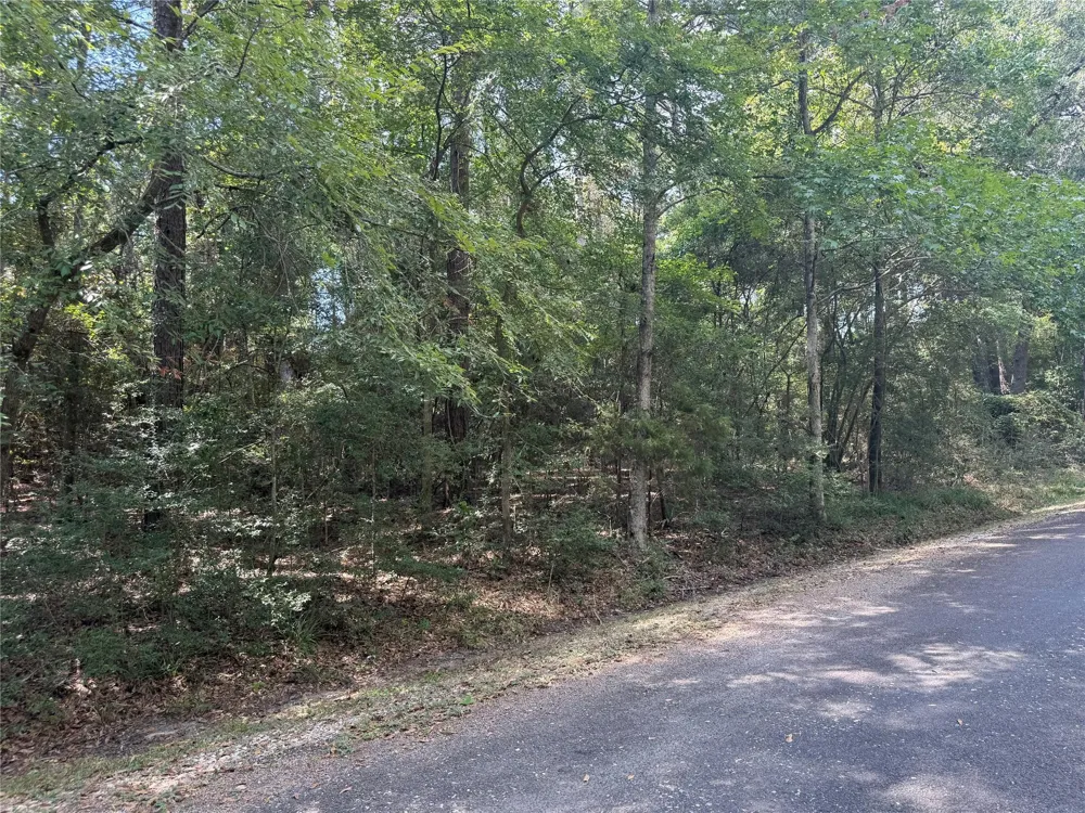 Mockingbird Hills Livingston, TX 77351