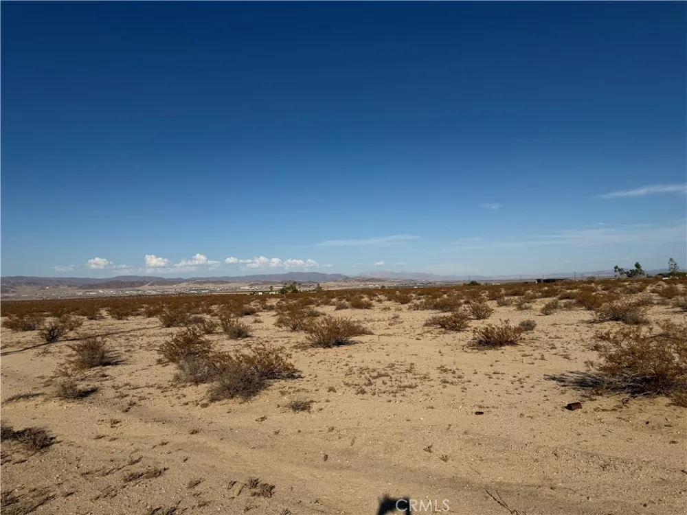 Pampas 29 Palms, CA 92277