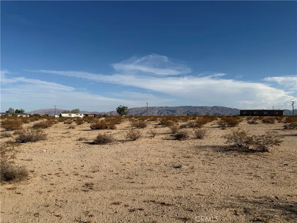 Pampas 29 Palms, CA 92277