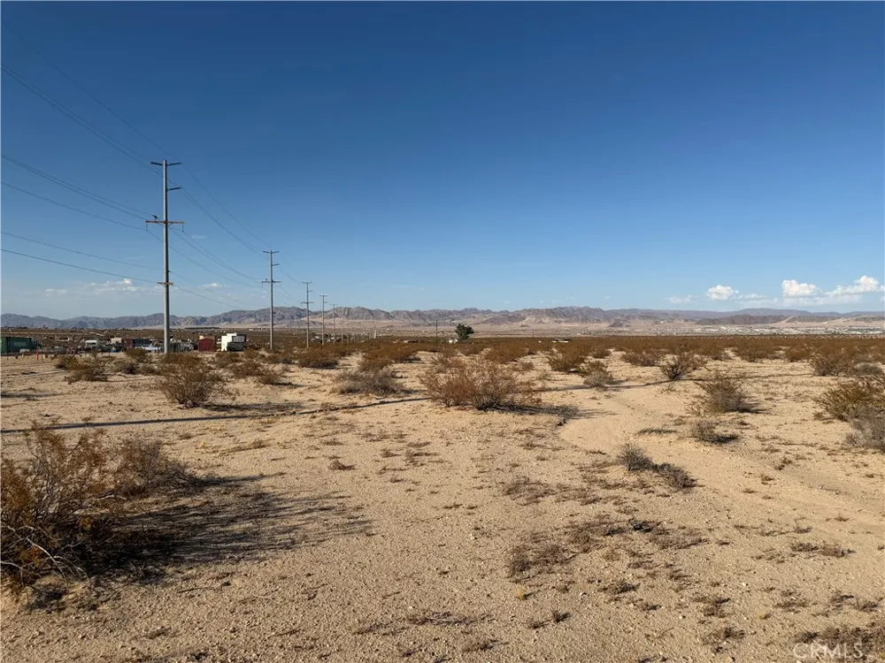 Pampas 29 Palms, CA 92277
