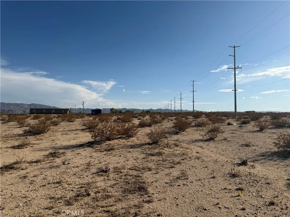 Pampas 29 Palms, CA 92277