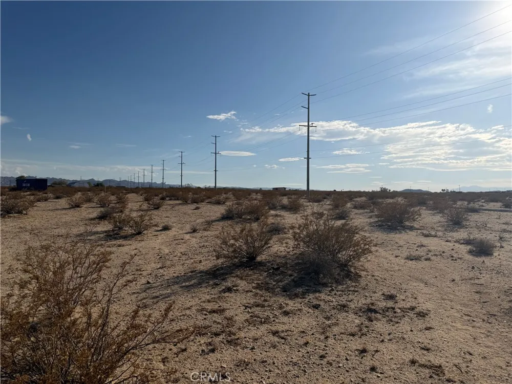 Pampas 29 Palms, CA 92277