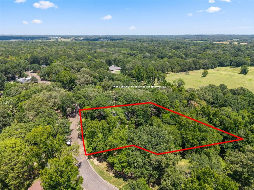 106 Lively Avenue Mt Pleasant, TX 75455