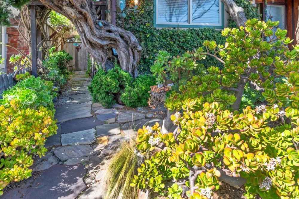 4355 Opal Cliff Drive Santa Cruz, CA 95062