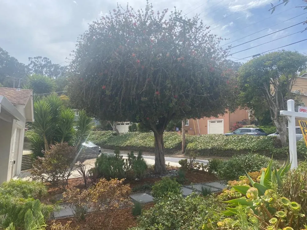 426 Beech Avenue South San Francisco, CA 94080