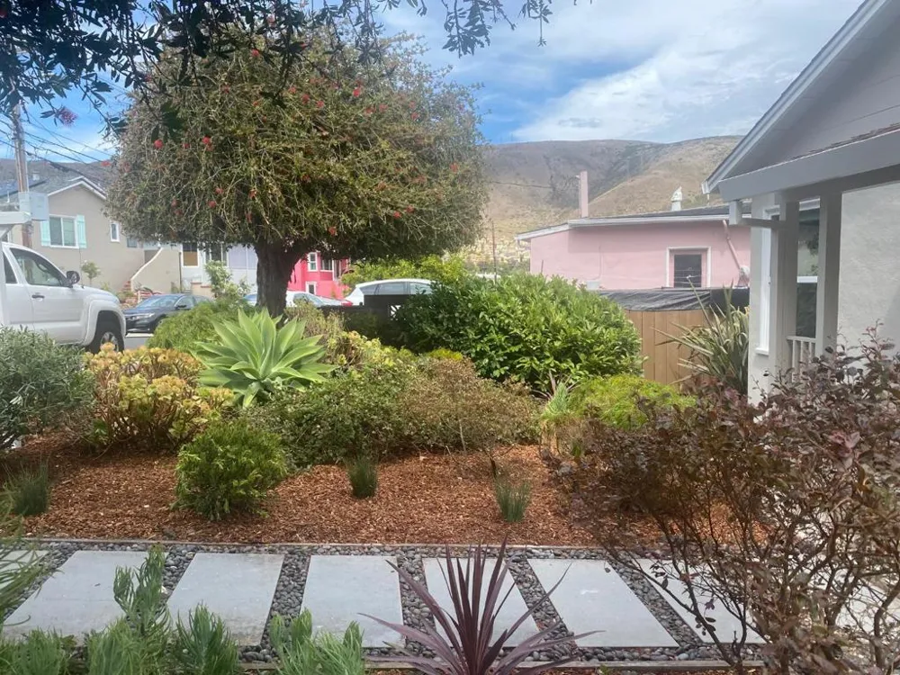 426 Beech Avenue South San Francisco, CA 94080