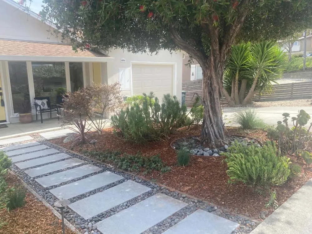 426 Beech Avenue South San Francisco, CA 94080