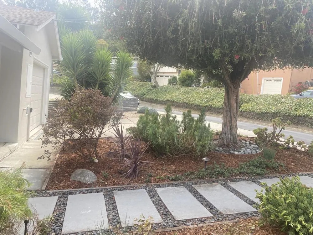 426 Beech Avenue South San Francisco, CA 94080