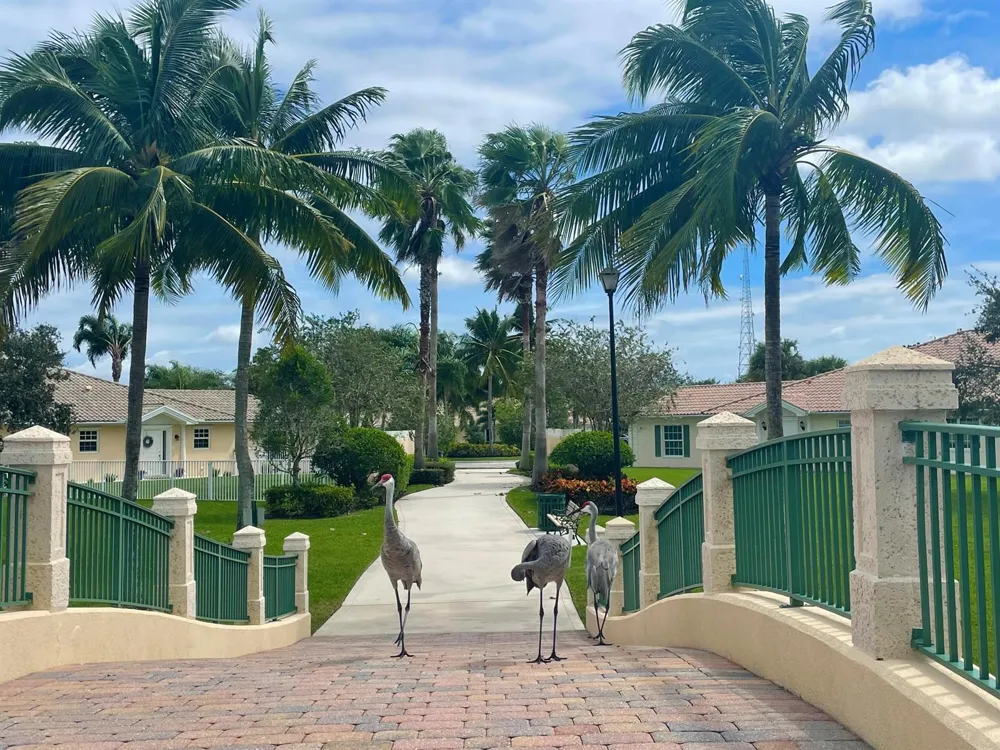 8262 Dominica Place Wellington, FL 33414