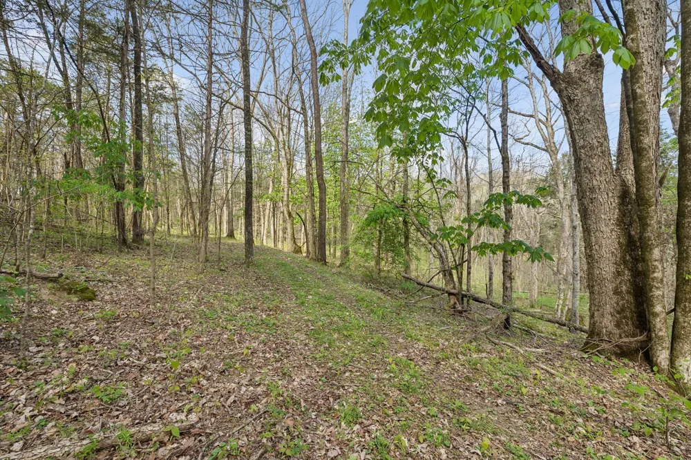 0 Turney Rd Auburntown, TN 37016