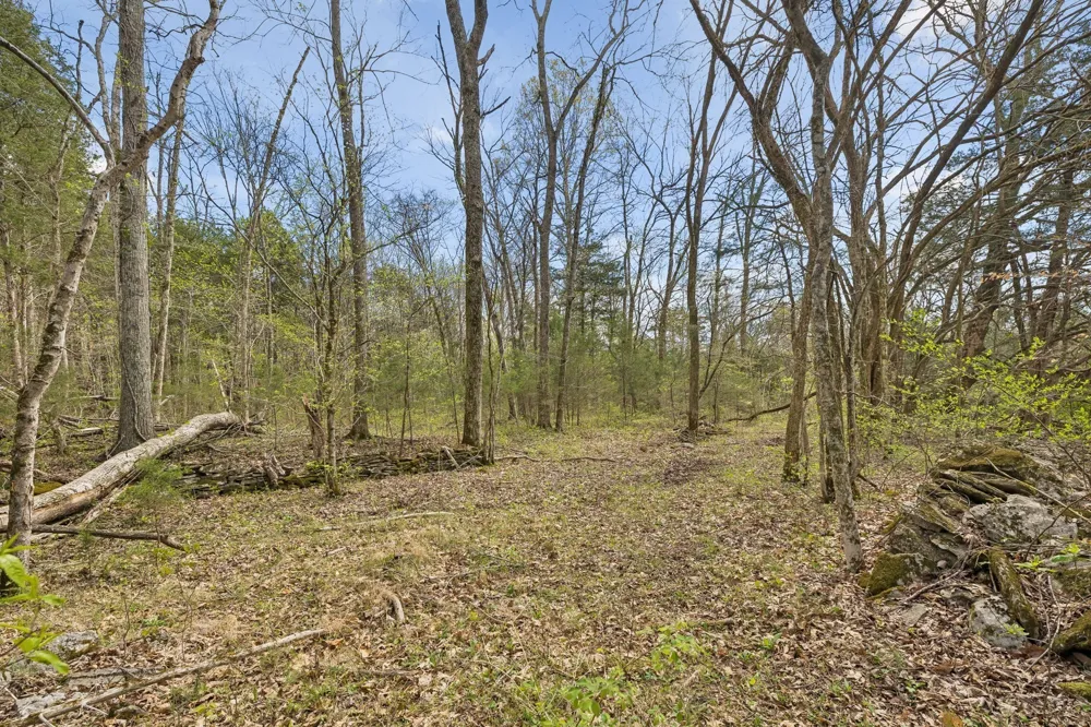 0 Turney Rd Auburntown, TN 37016