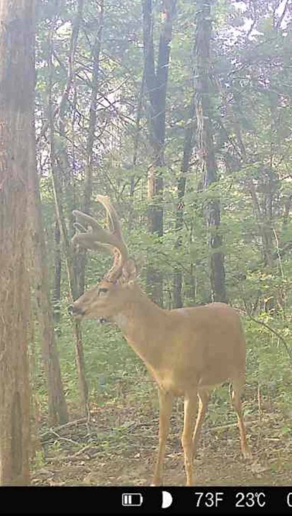 0 Turney Rd Auburntown, TN 37016