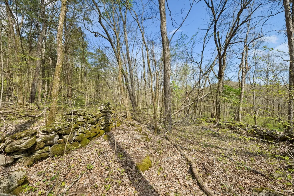 0 Turney Rd Auburntown, TN 37016