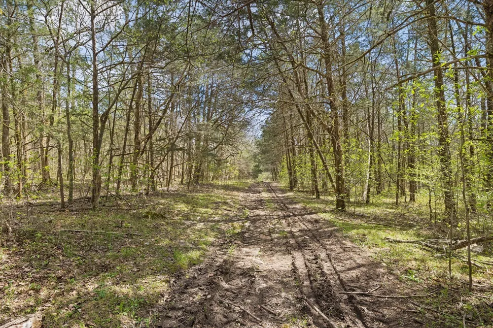 0 Turney Rd Auburntown, TN 37016
