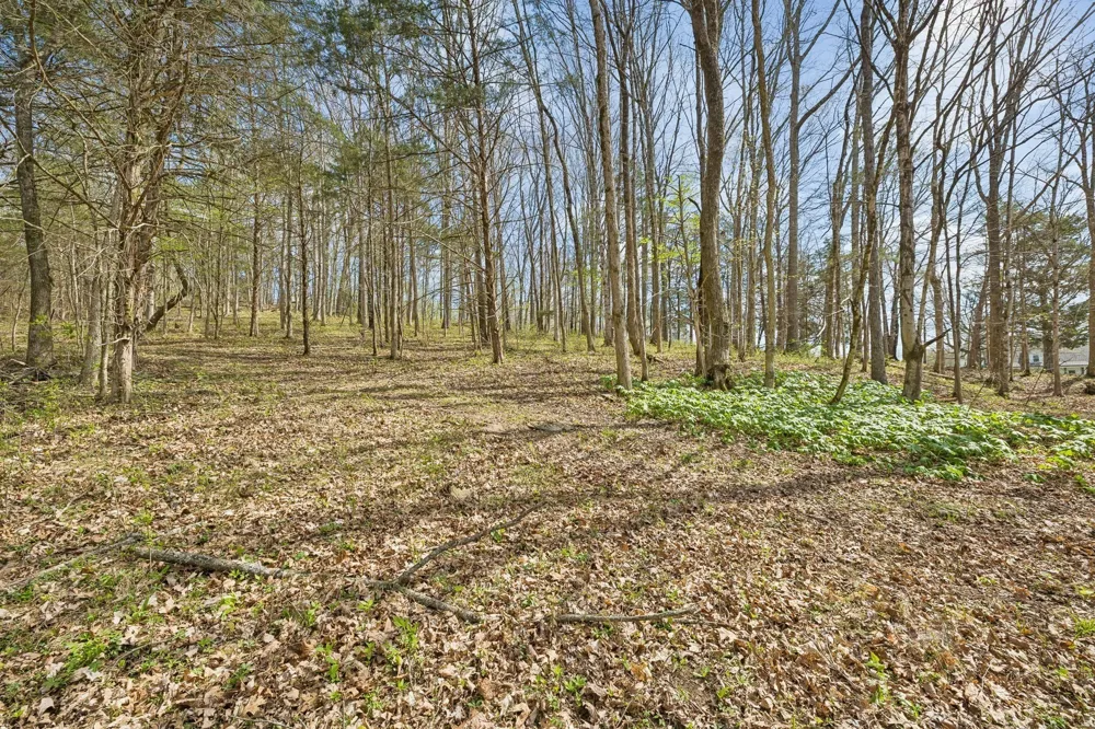 0 Turney Rd Auburntown, TN 37016