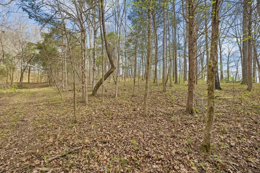 0 Turney Rd Auburntown, TN 37016