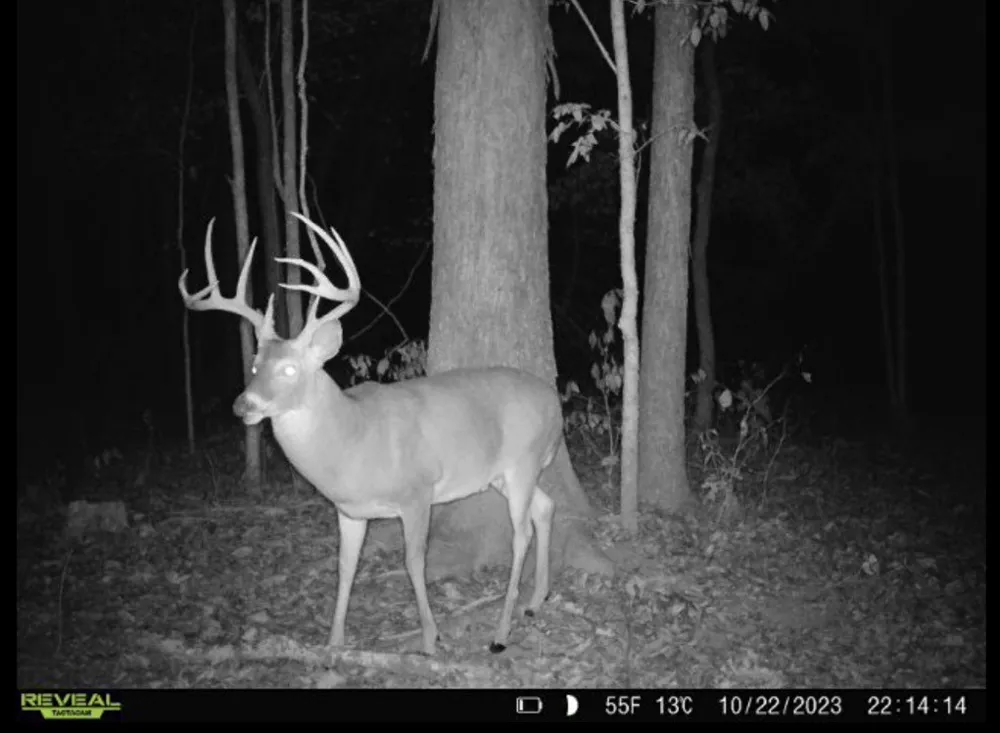 0 Turney Rd Auburntown, TN 37016