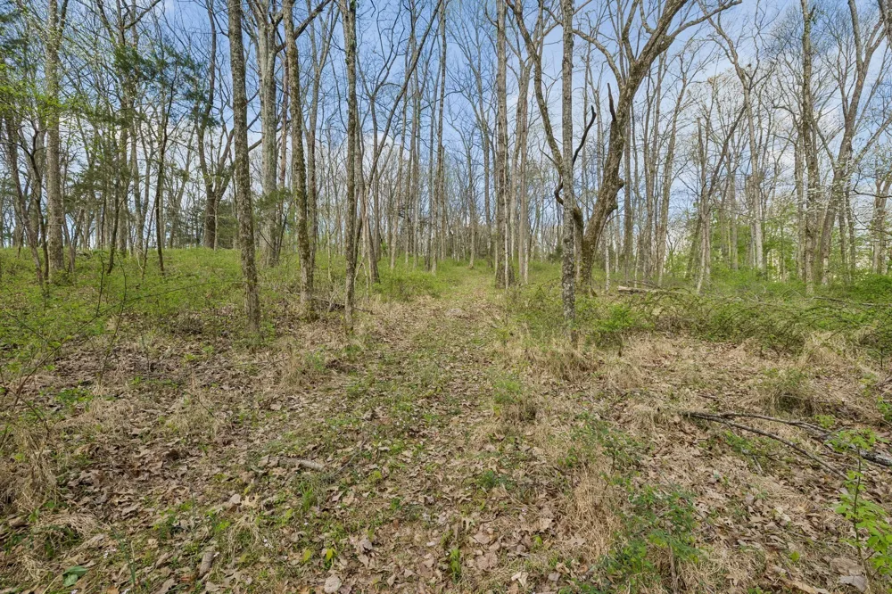 0 Turney Rd Auburntown, TN 37016