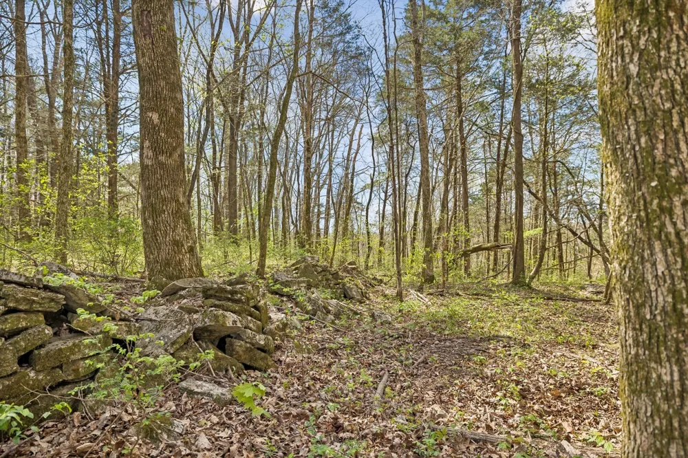 0 Turney Rd Auburntown, TN 37016