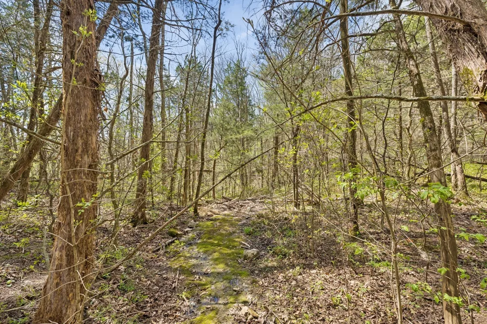 0 Turney Rd Auburntown, TN 37016
