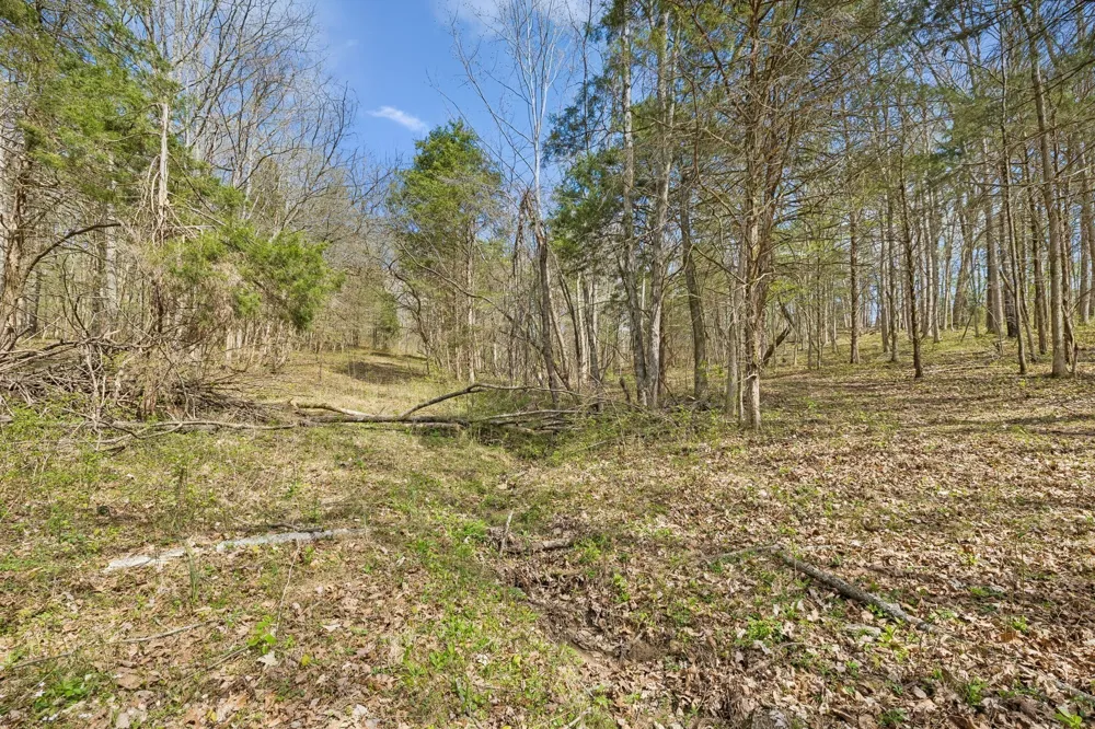 0 Turney Rd Auburntown, TN 37016