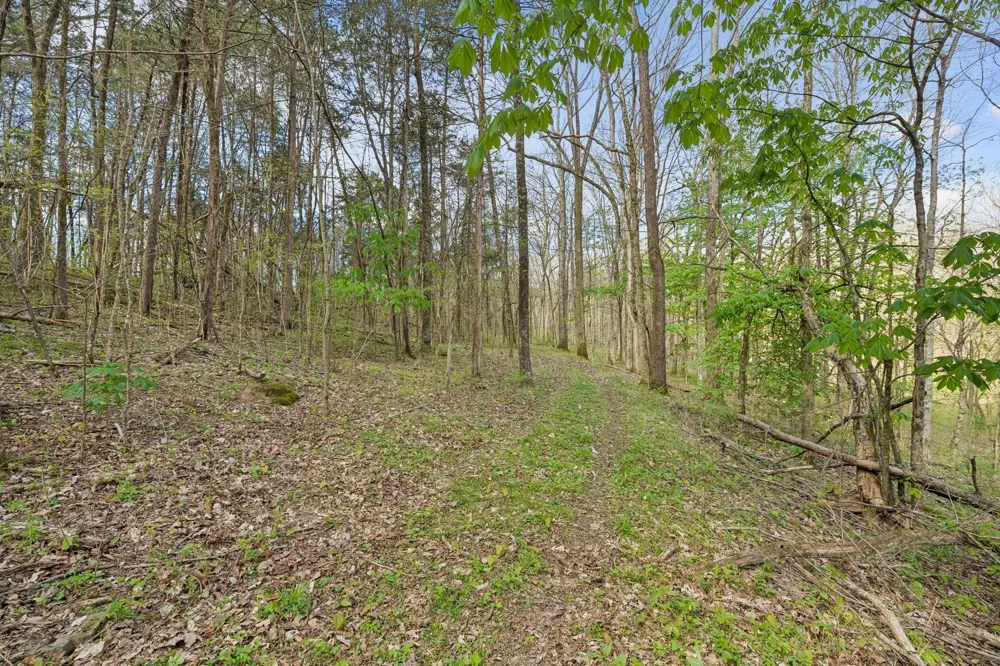 0 Turney Rd Auburntown, TN 37016