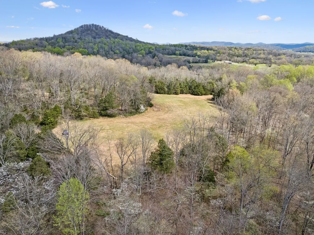 0 Turney Rd Auburntown, TN 37016