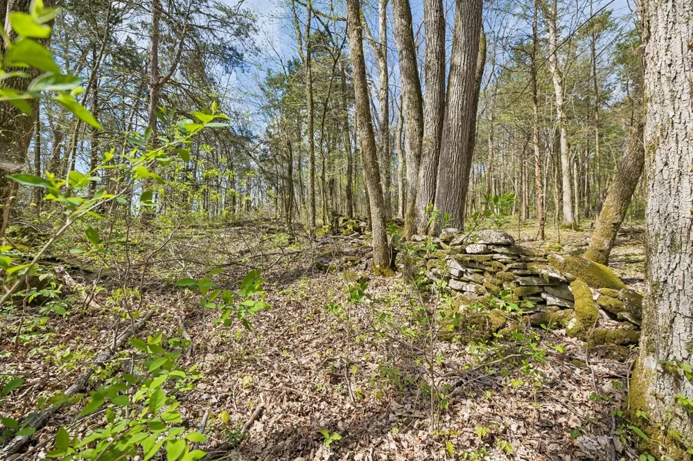 0 Turney Rd Auburntown, TN 37016